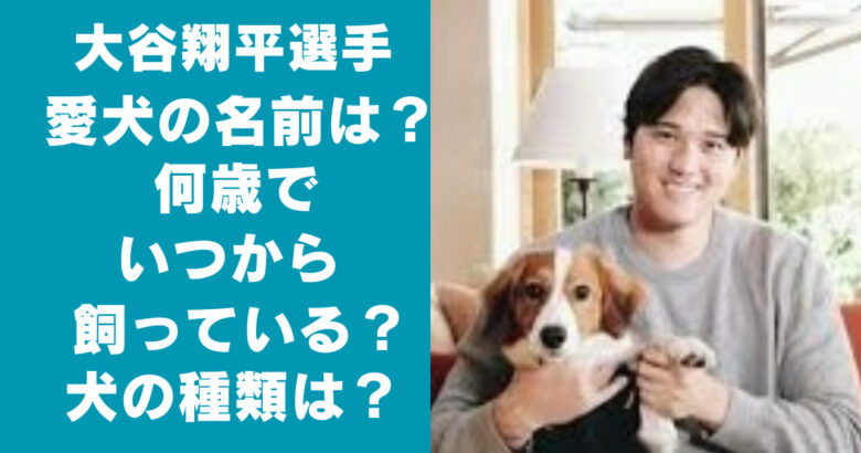 大谷翔平の愛犬の名前は？何歳でいつから飼っている？犬種は？